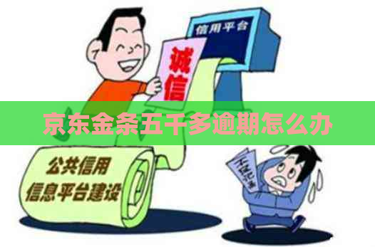 京东金条五千多逾期怎么办