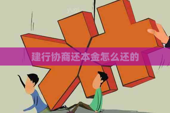 建行协商还本金怎么还的