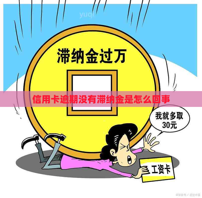 信用卡逾期没有滞纳金是怎么回事