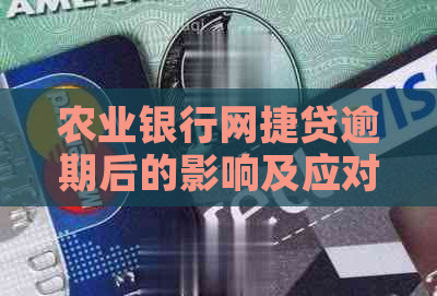 农业银行网捷贷逾期后的影响及应对措