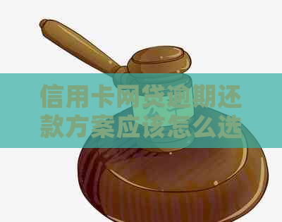 信用卡网贷逾期还款方案应该怎么选择