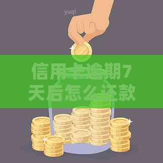 信用卡逾期7天后怎么还款