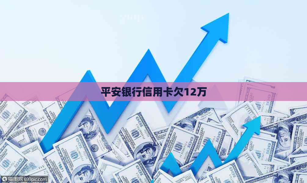 平安银行信用卡欠12万