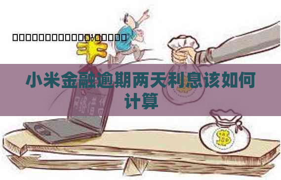 小米金融逾期两天利息该如何计算