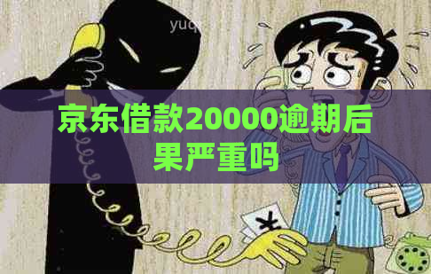 京东借款20000逾期后果严重吗