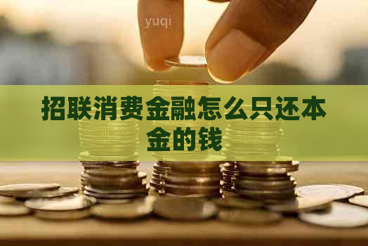 招联消费金融怎么只还本金的钱