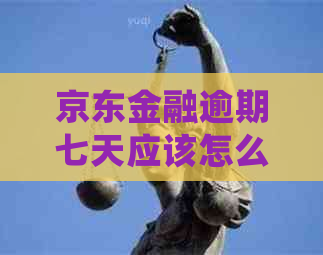 京东金融逾期七天应该怎么处理