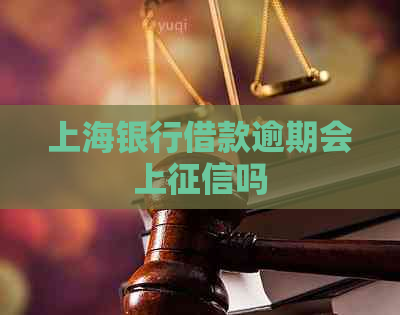 上海银行借款逾期会上吗