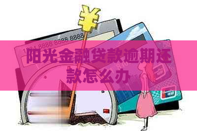 阳光金融贷款逾期还款怎么办