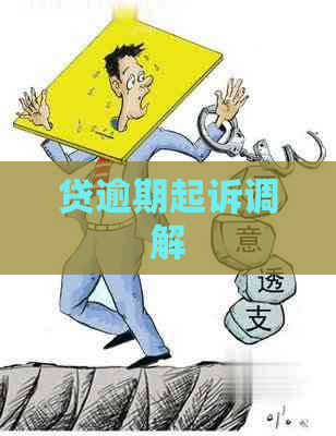 贷逾期起诉调解