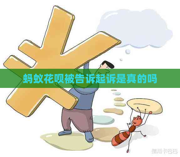 蚂蚁花呗被告诉起诉是真的吗