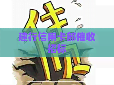 建行信用卡部招标