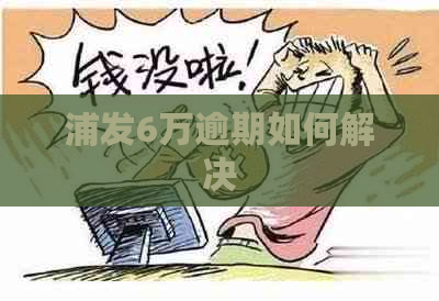 浦发6万逾期如何解决