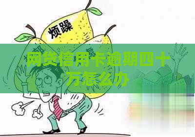 网贷信用卡逾期四十万怎么办