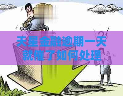 天星金融逾期一天就催了如何处理