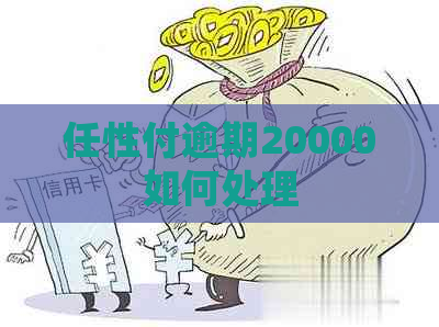 任性付逾期20000如何处理