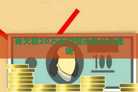 我欠款20万无力偿还怎么办理呢