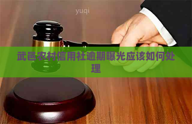 武邑农村信用社逾期曝光应该如何处理