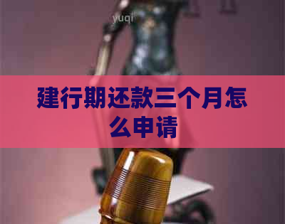 建行期还款三个月怎么申请