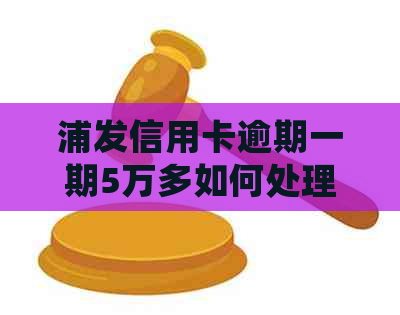 浦发信用卡逾期一期5万多如何处理