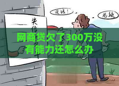 网商贷欠了300万没有能力还怎么办