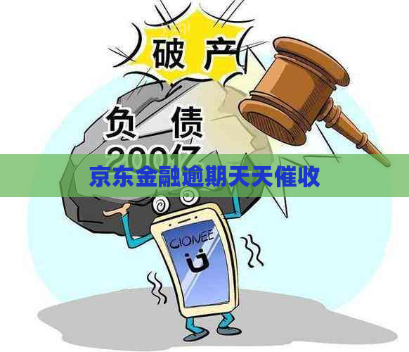 京东金融逾期天天