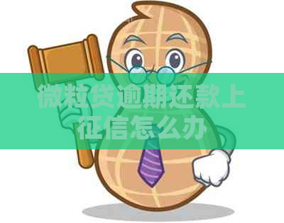 微粒贷逾期还款上怎么办