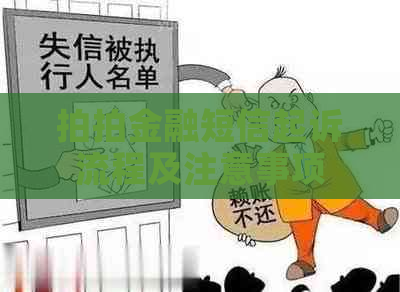 拍拍金融短信起诉流程及注意事项