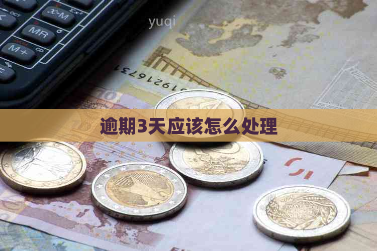 逾期3天应该怎么处理