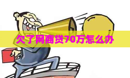 欠了网商贷70万怎么办
