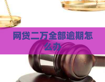 网贷二万全部逾期怎么办