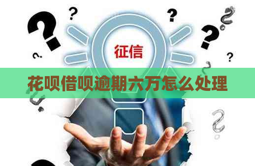 花呗借呗逾期六万怎么处理