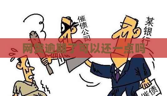 网贷逾期了可以还一点吗
