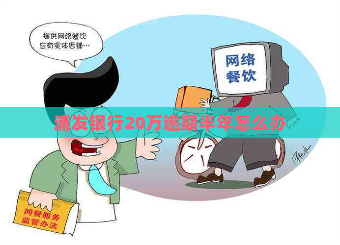 浦发银行20万逾期半年怎么办