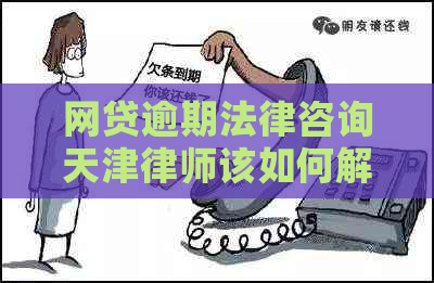 网贷逾期法律咨询天津律师该如何解决
