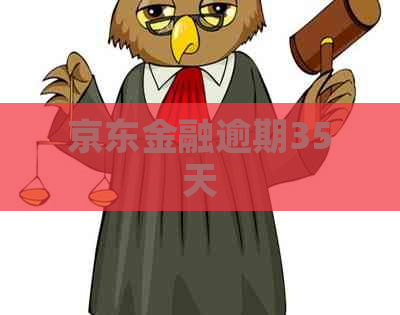 京东金融逾期35天