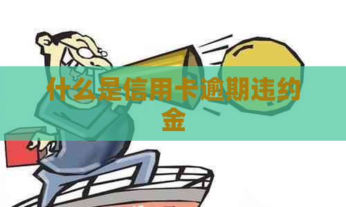 什么是信用卡逾期违约金