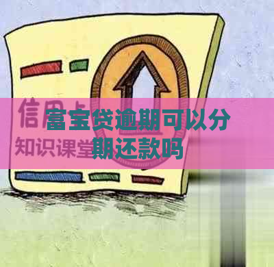 富宝贷逾期可以分期还款吗