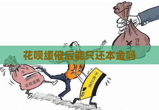 花呗缓催后能只还本金吗