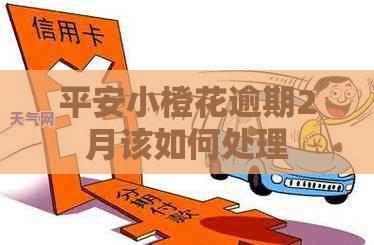 平安小橙花逾期2月该如何处理
