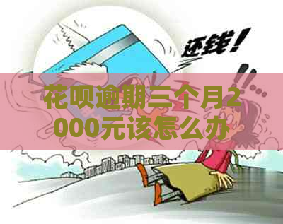 花呗逾期三个月2000元该怎么办
