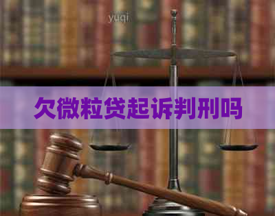 欠微粒贷起诉判刑吗