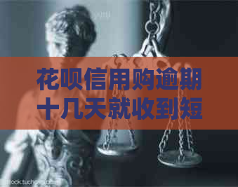 花呗信用购逾期十几天就收到短函