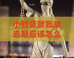 小额贷款账单逾期应该怎么处理