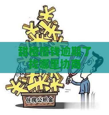 甜橙借钱逾期了找哪里协商