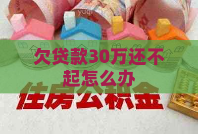 欠贷款30万还不起怎么办