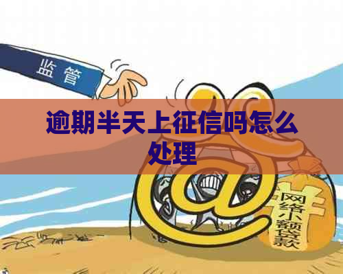 逾期半天上吗怎么处理