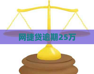 网捷贷逾期25万