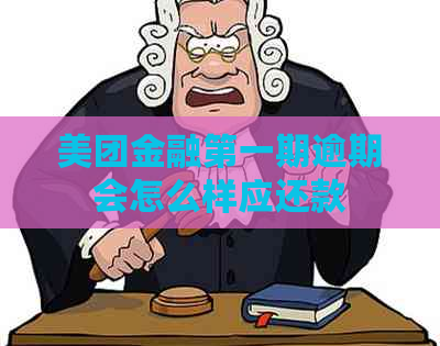 美团金融之一期逾期会怎么样应还款