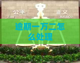 逾期一万二怎么处理
